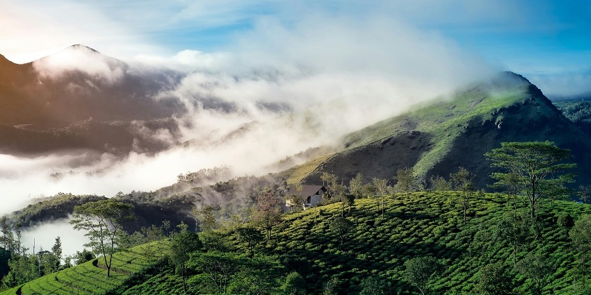 The Bilikal Rangaswamy Betta Hill provides panoramic views of the surrounding forest.