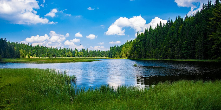 Tranquil Bir Lake, among Places to visit in Chikhaldara, is surrounded by lush forests.