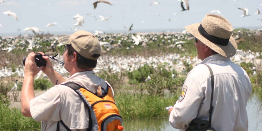Two photographers enjoying the view of a massive number of birds in the sky.
