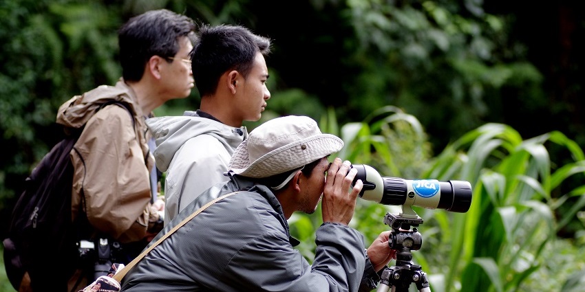 Shot of two wildlife enthusiasts birdwatching through binoculars amidst a lush forest