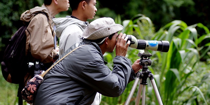 Close up shot of three tourists bird watching with binoculars amidst lush forest