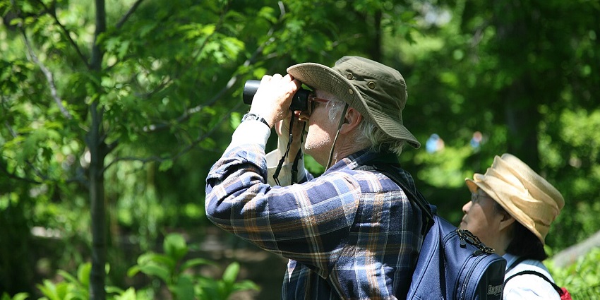 Bird watching is one of the most relaxing yet fun activities to do in Koundinya wildlife sanctuary