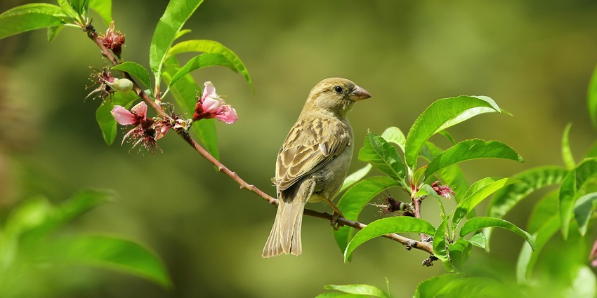 A beautiful bird was spotted during one of the Ushakothi Wildlife Sanctuary activities