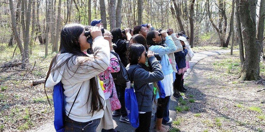 Watching birds in their natural habitat is one of the best things you can do in the park.