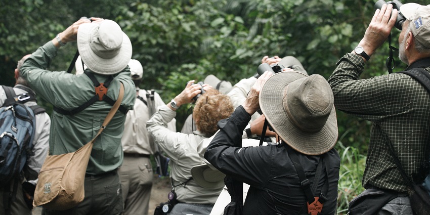 Birdwatching At Bhindawas Bird Sanctuary
