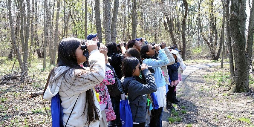 While visiting the Chhatbir Zoo, you can also enjoy bird watching at its aviary section.