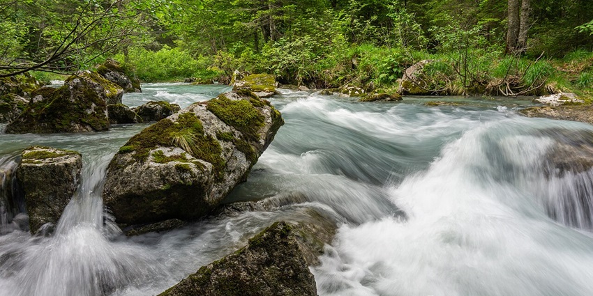 Clear water flowing through rocky terrain with surrounding greenery and rugged banks