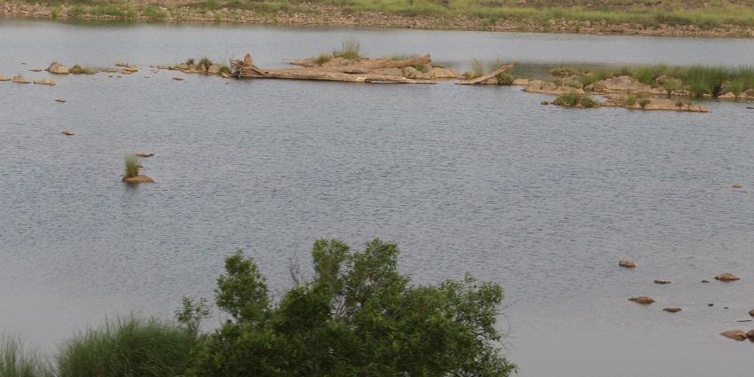 Enjoy a serene boat ride on the Ken River surrounded by lush greenery and wildlife.