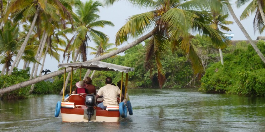 Boat safari at the Kabini River, surrounded by palm trees is the best experience.