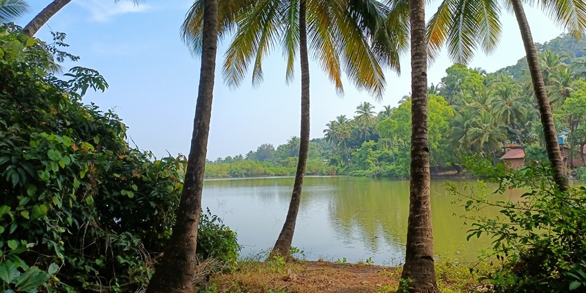 Enjoy boating and scenic views of lush green landscapes at the serene Sal River in Betul.