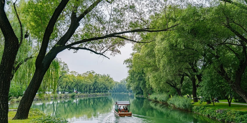Enchanting view of a boat streaming through the serene waters surrounded by lush forest