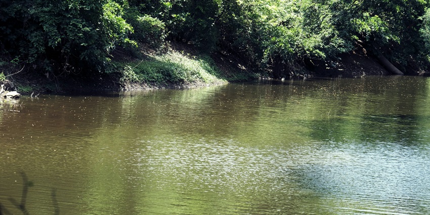 Witnessing scenic views is one of the things to do in Sanjay Gandhi National Park.