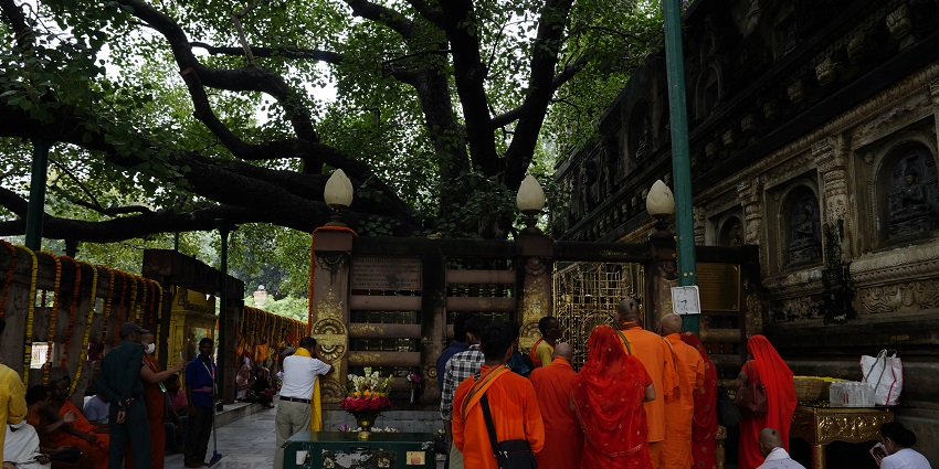 Devotees gathered around the sacred Bodhi Tree within the Mahabodhi Temple premises