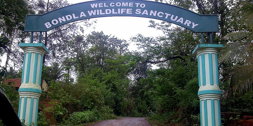 View of Bondla Wildlife Sanctuary, showcasing lush greenery and diverse wildlife