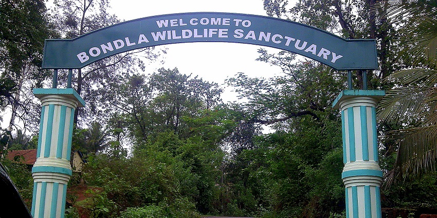 A picture of the entrance of a wildlife sanctuary with a verdant cover of greenery in the surroundings