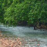 A glimpse of the famous Sanjay Gandhi National Park, a tourist hotspot in Maharashtra.