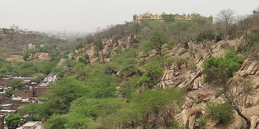 A picture of the scenic Brahma Hill in Karnataka with a cover of lush greenery and trees