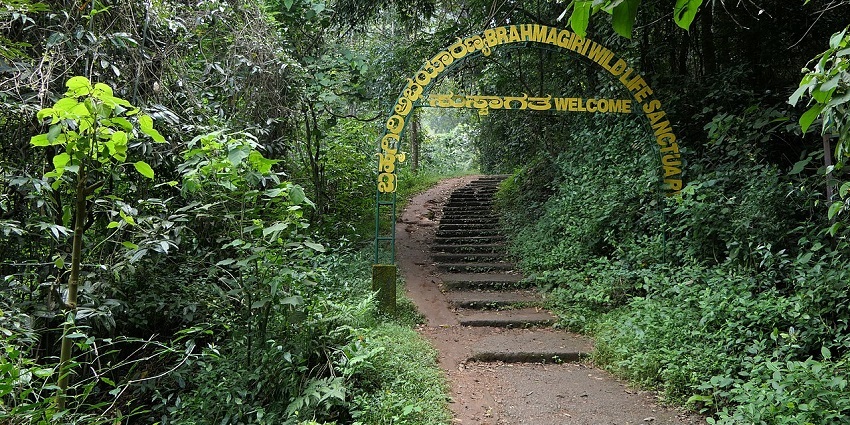Located in the Western Ghats, this hotspot is named after the Brahmagiri Peak.