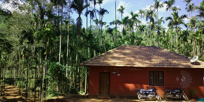 Breeze Resort near Bhadra wildlife sanctuary offers luxury suites, adventures, and diverse cuisine.