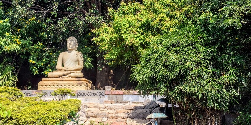 A scenic view of a statue of Budhha surrounded by lush greenery at the Buddha Smriti Park.