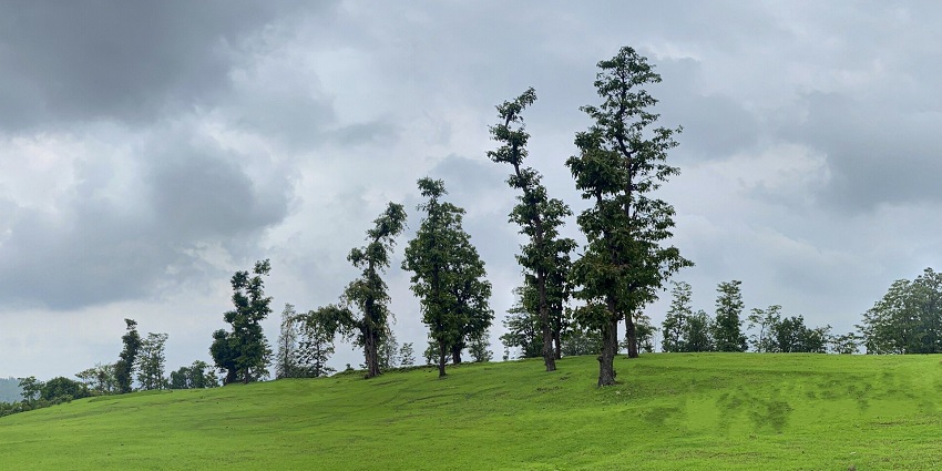 Scenic view of Bulsar (Valsad) with lush green landscapes and Tithal Beach in the background