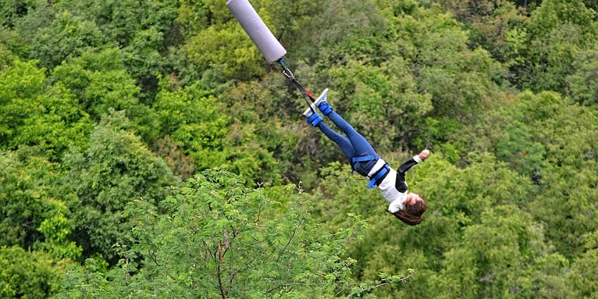 A tourist bungee jumping with lush dense jungle in the background