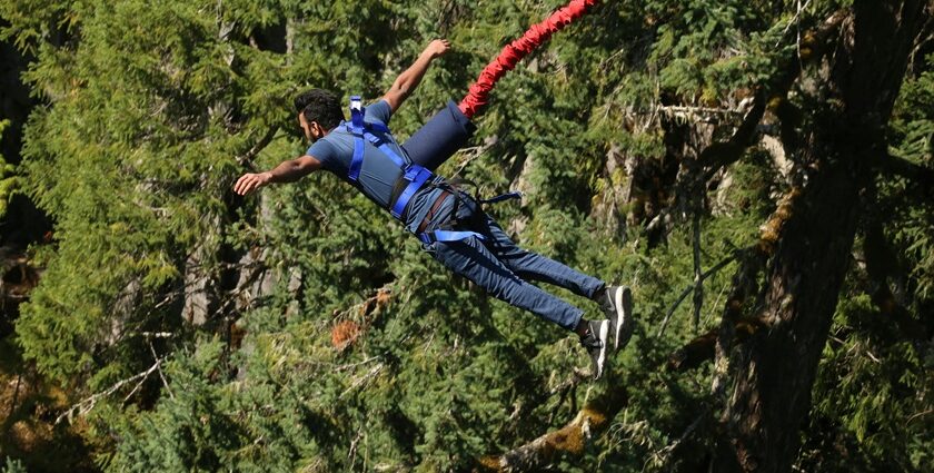 A breathtaking view of a person enjoying an adventurous activity surrounded by greenery.