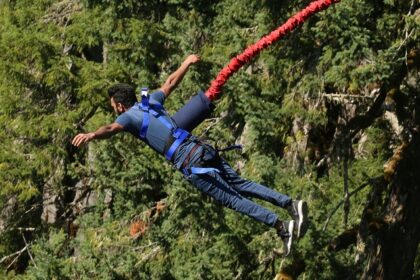 A breathtaking view of a man enjoying an adventure activity around lush greenery.