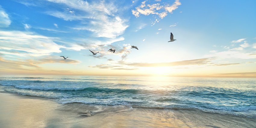 A serene view of shimmering waters meeting the pristine golden sands at Butterfly Beach.