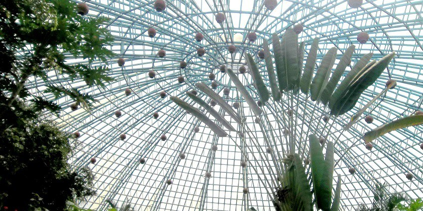 The Butterfly Park roof presenting a spectacular view.