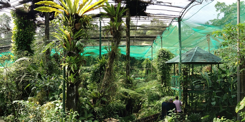 The butterfly park features various flowering plants.