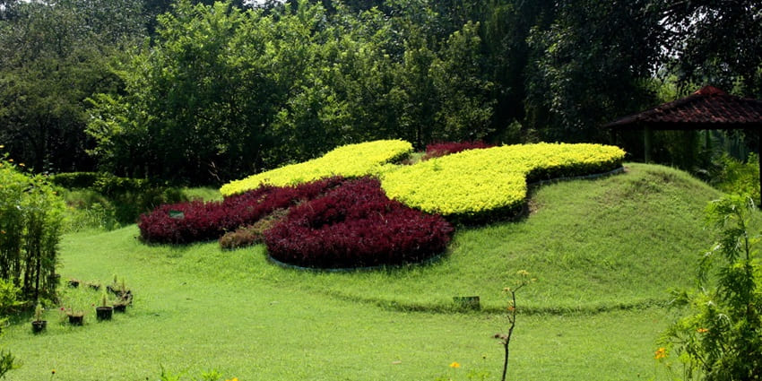 Lush green scenery at the Butterfly Park, home to variety of butterflies in Chandigarh