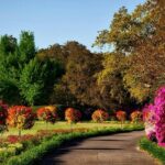 Panoramic image from the beautiful ch devi lal herbal nature park in the heart of haryana