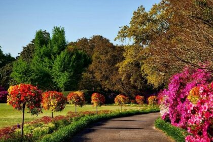 Panoramic image from the beautiful ch devi lal herbal nature park in the heart of haryana