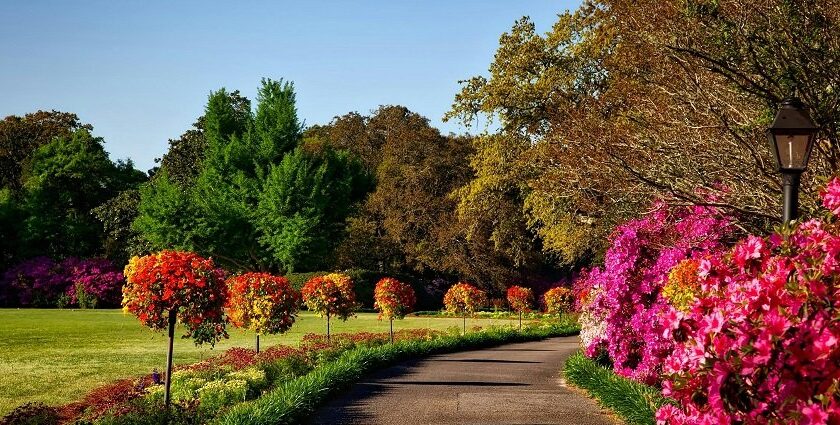 Panoramic image from the beautiful ch devi lal herbal nature park in the heart of haryana