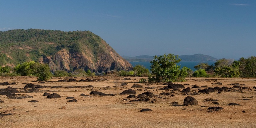 A picture of the ruined fort of Cabo De Rama with views of palm trees in the background