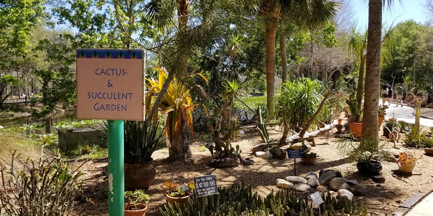 Visit the Cactus Garden in Panchkula, Asia’s largest botanical garden with succulents