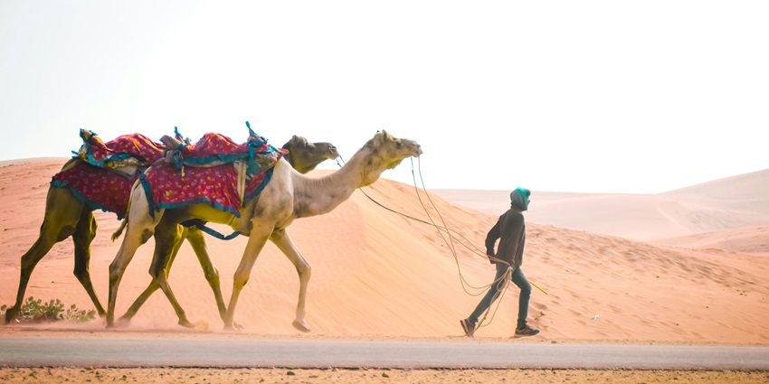 Image of Camel safari in Thar Desert: dunes, villages, and sunset views