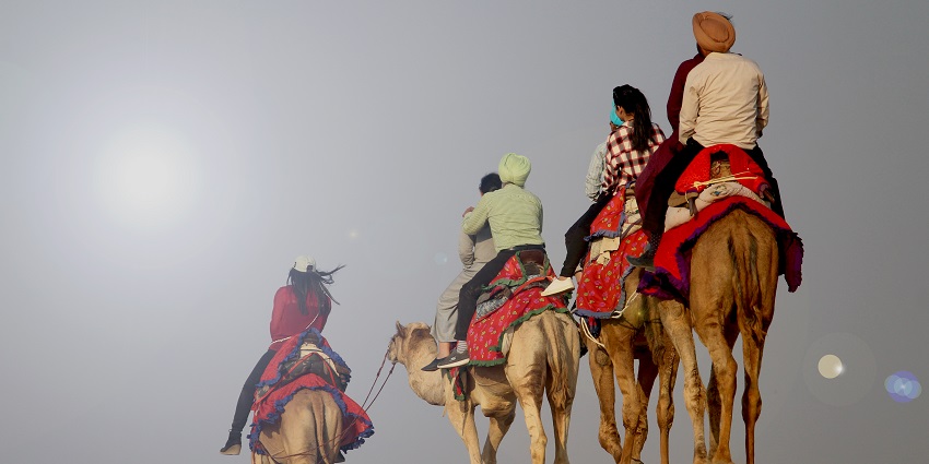 Sunset camel safari through Ajmer's golden dunes, revealing the desert beauty