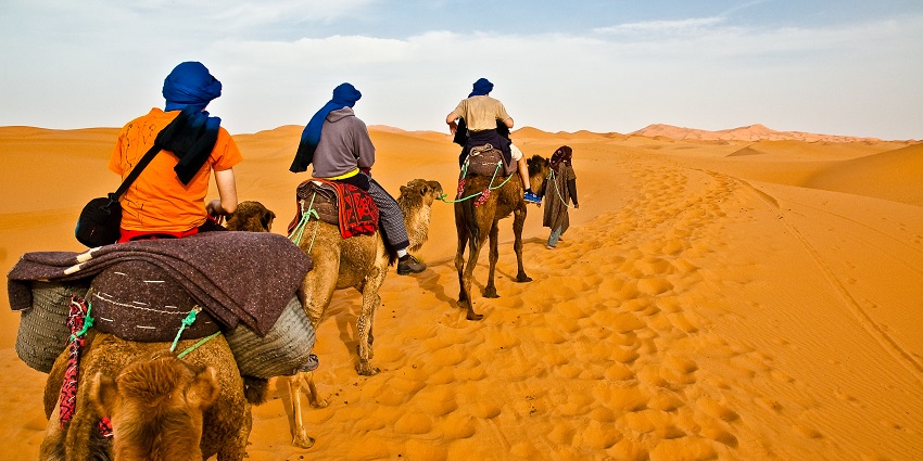 Jaipur camel safari reveals desert beauty, culture, and traditional performances