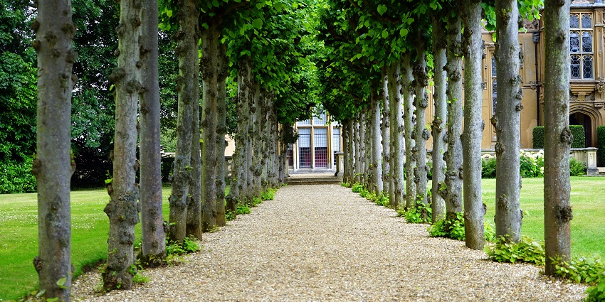 Campal Gardens is a lovely place, offering a peaceful and serene escape from city life.
