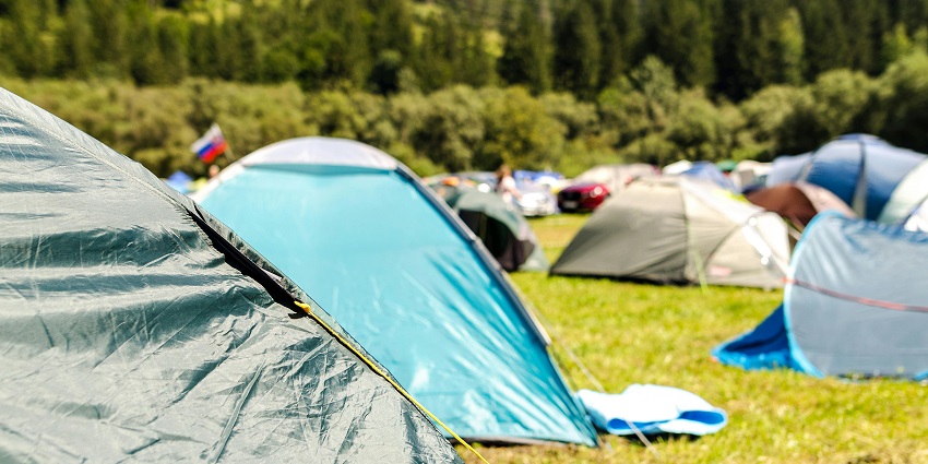 Scenic view of Tents Surrounded by Tree and lush green field during day time