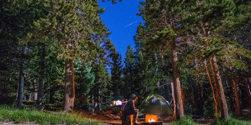 Image of a person in a jungle with bonfire and a tent beside Camping Under The Stars