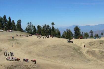 Scenic view of camping in Kufri, Shimla, with green hills, tall trees, and distant mountain peaks.