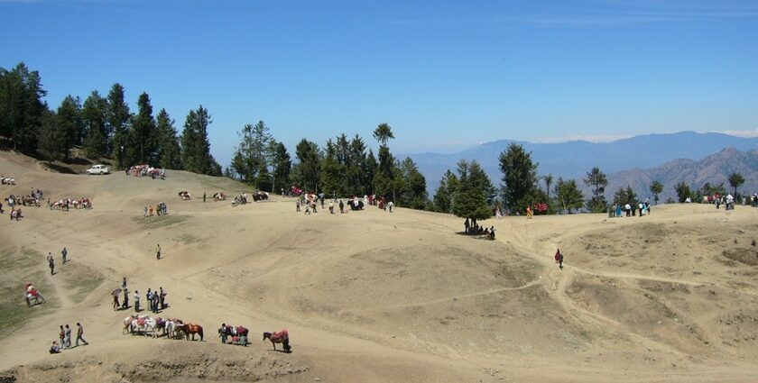 Scenic view of camping in Kufri, Shimla, with green hills, tall trees, and distant mountain peaks.