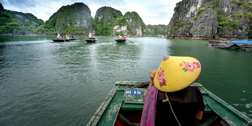 Cat Ba Island allows you to explore the diverse ecosystems, from mangroves to limestone mountains.