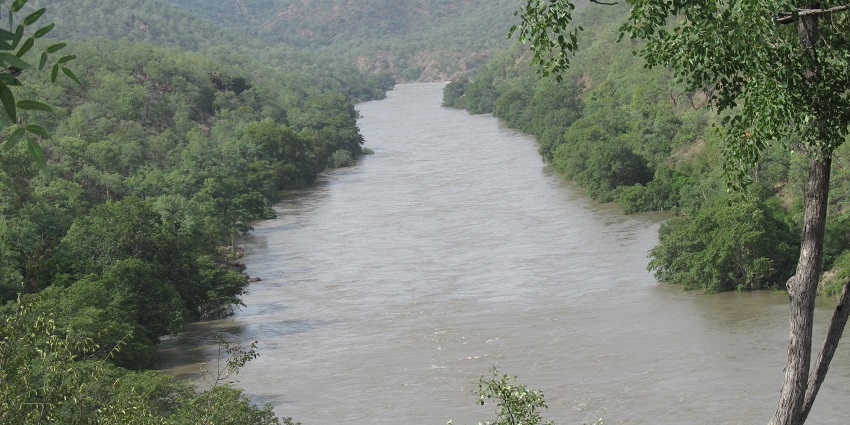 Cauvery Wildlife Sanctuary is established on the banks of Kaveri river.
