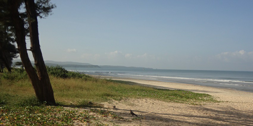 Cavelossim Beach, one of the famous beaches in South Goa, busts in different water sports.