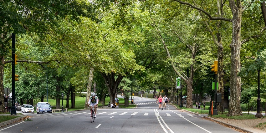 Green park road resembling Central Park, one of the best places to visit in Connaught place