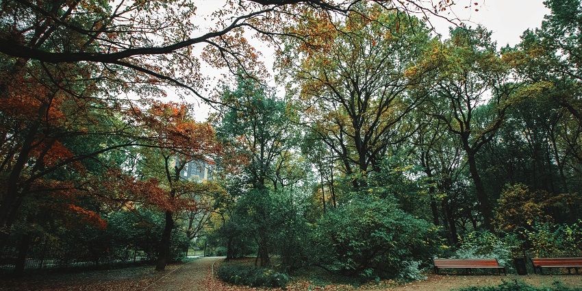 Alluring views of the tranquil Ch Devi Lal Herbal Nature Park in Haryana